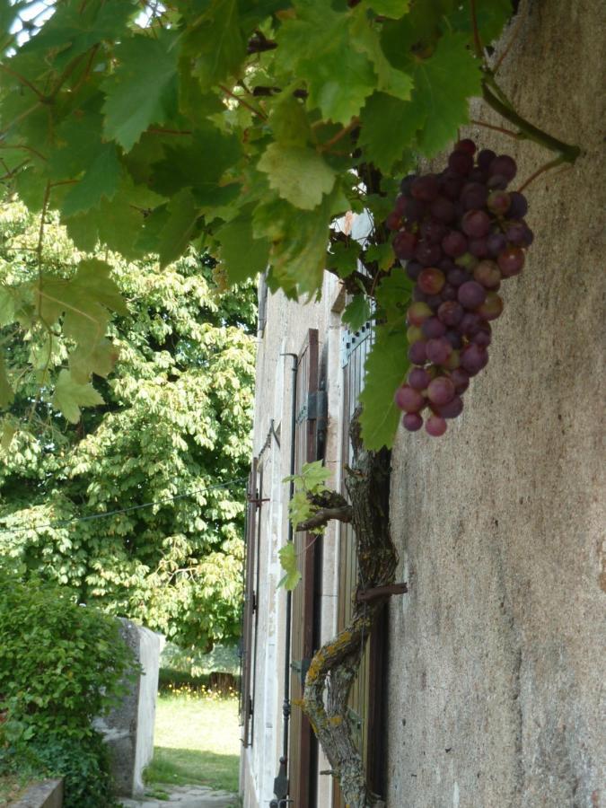 A L'Ombre Du Marronnier Gites La Peruse Εξωτερικό φωτογραφία